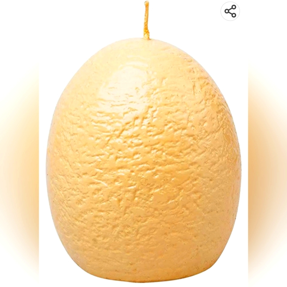 BRAND NEW in Box Mooyazu Hatching Raptor Egg Candle